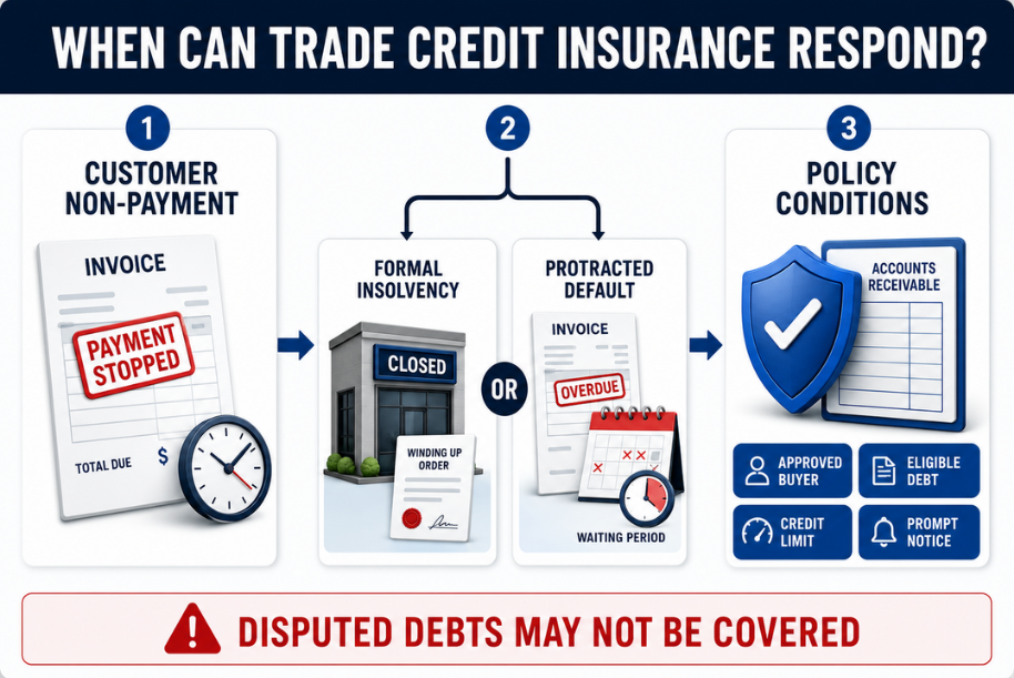 Trade Credit Insurance at a glance